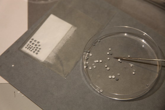Petri dish containing remoistenable tissue dots and tweezers